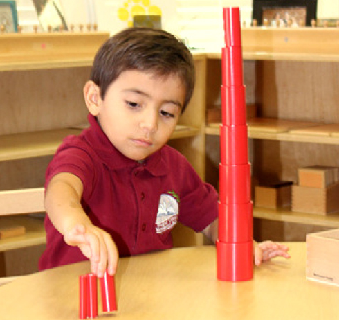 Selecting-A-School-Section-image
