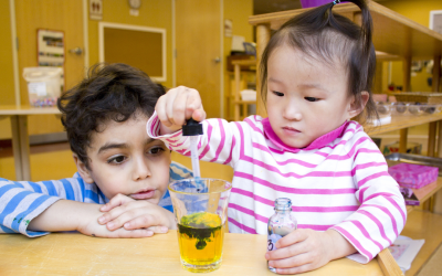 How Montessori Education Supports Early Childhood Development and Lifelong Learning