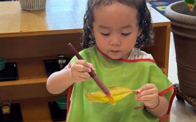 Is Your Child Ready for Montessori Preschool? 5 Signs to Look For