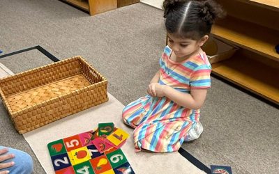 Why Choose a Montessori Transition Program for Your 2-Year-Old?