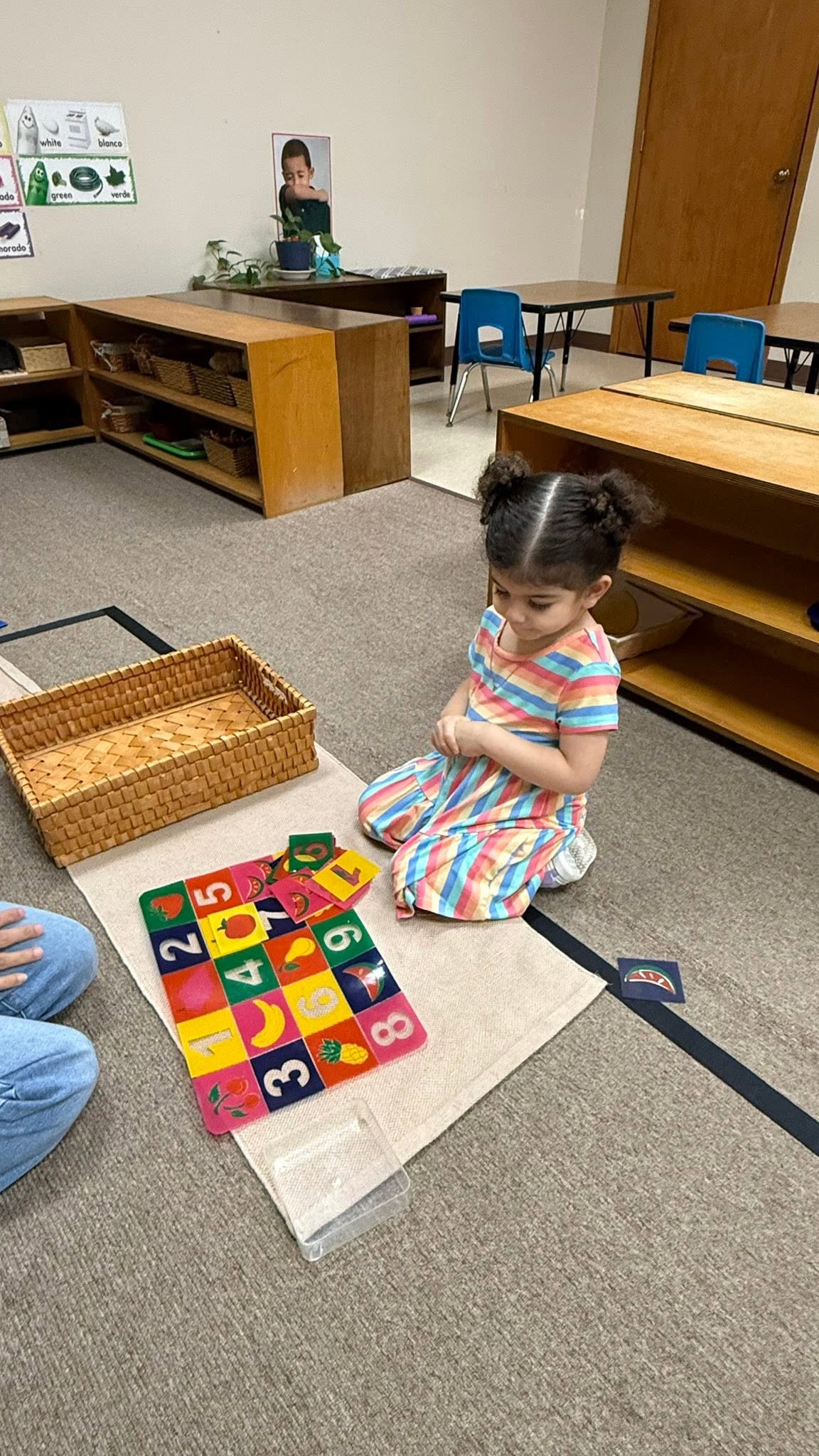 Transition Program