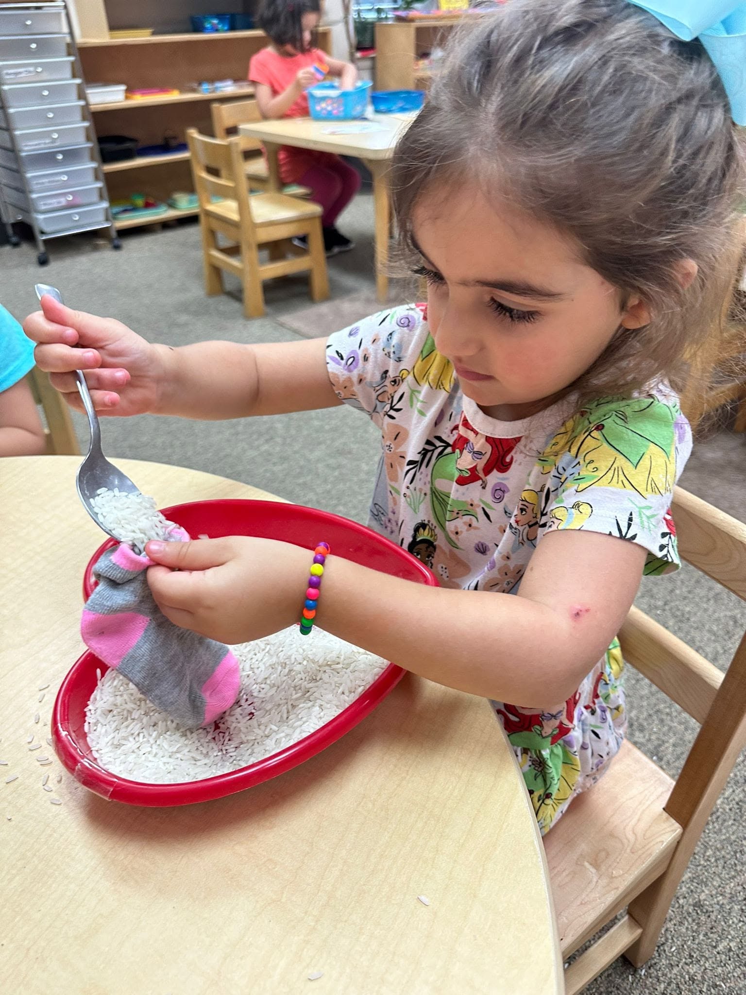 Montessori School